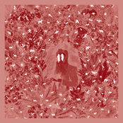 California Sober by Iron & Wine