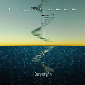 Caryotype