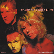 Burst cover