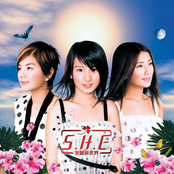 美麗新世界 cover