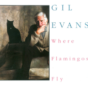 Where Flamingos Fly