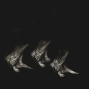 PROCESSION