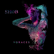 Voraces