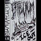 Disembowel the Colonizer EP