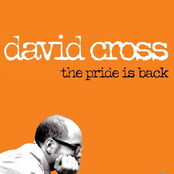 The Pride is Back