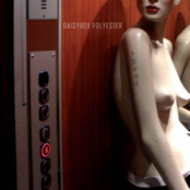 Polyester