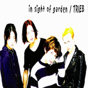 in sight of garden