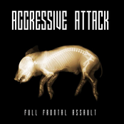 Full Frontal Assault