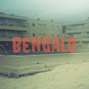 Bengalo