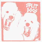 SPLIT DOGS – SPLIT DOGS