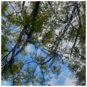 the garden of letting go