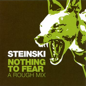 Nothing To Fear: A Rough Mix