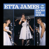 Rocks The House
