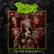 Putrid Remnants