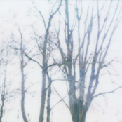 landscape 04