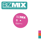 BIZMIX010