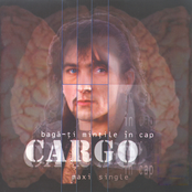 Baga-ti mintile in cap