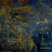 Fluoresce