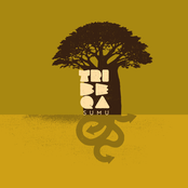 SUMU