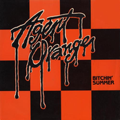 Bitchin' Summer