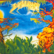 The Wood Of Tales Plus...