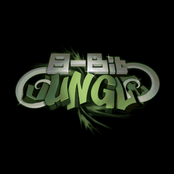 8-Bit Jungle