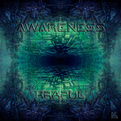 Awareness