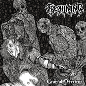 Cranial Offerings