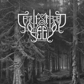 Virgin Forest