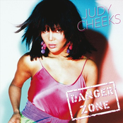 Danger Zone cover