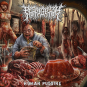 PeelingFlesh – Human Pudding