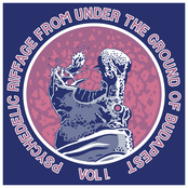 Psychedelic Riffage From Under the Ground of Budapest vol.1