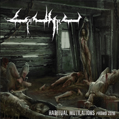 Habitual Mutilations Promo 2016