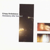 Accessory After the Fact
