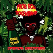 Frog Bog Dosenband – Operation: Kartoffelbrei