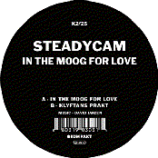 in the moog for love