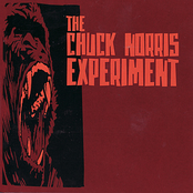 The Chuck Norris Experiment – The Chuck Norris Experiment