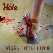 Skinny Little Bitch cover