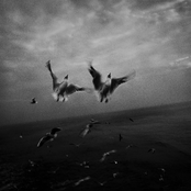Tokpela EP
