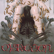 Knochenkult