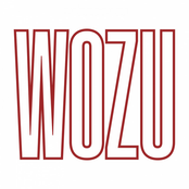 Wozu