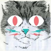 Kitsch Cat