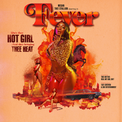 Fever cover