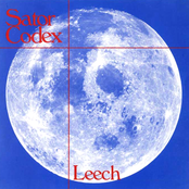 Leech