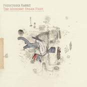 Album art for The Midnight Organ Fight by Frightened Rabbit