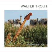 Walter Trout – Common Ground