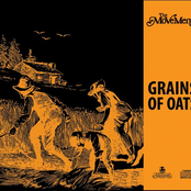 Grains of oats