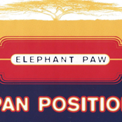 Elephant Paw