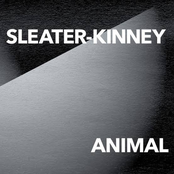 Animal cover