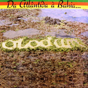 Da Atlântida A Bahia... O Mar É O Caminho